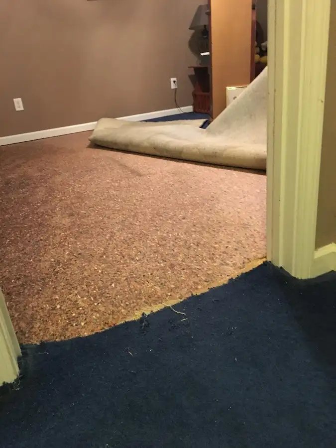 Carpet pad removal revealing water damage during Water Mitigation Services in Matawan