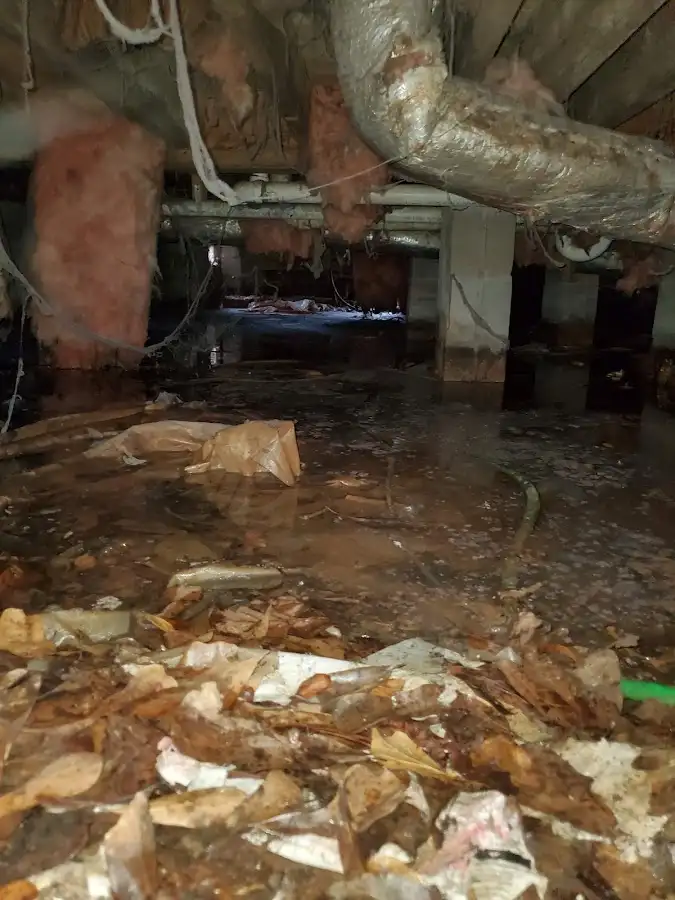 Crawl space flood assessment for Leak Detection & Repair in Matawan